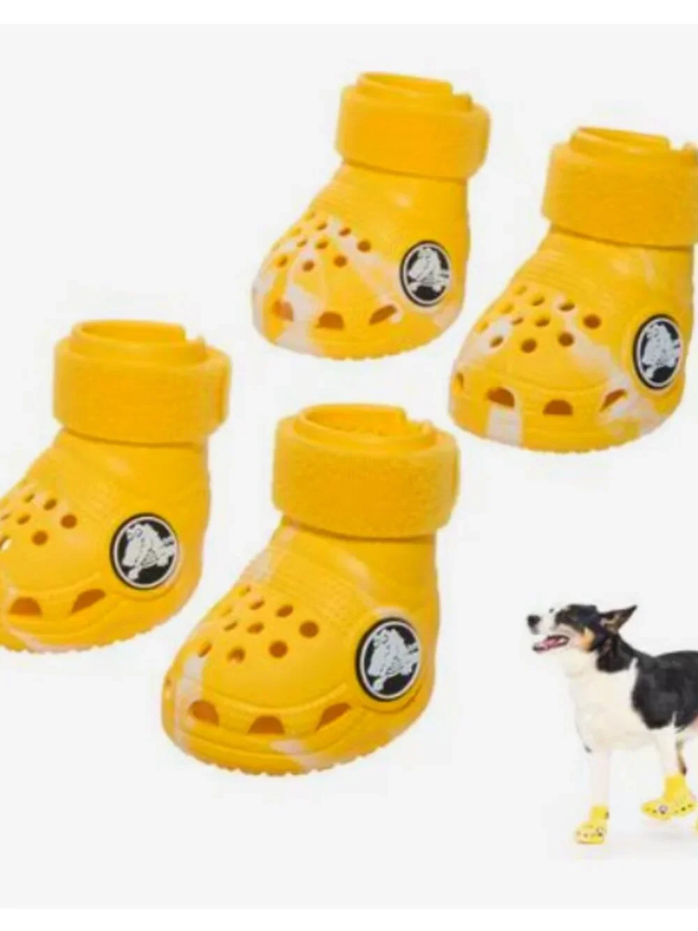 Bark Crocs for Dogs